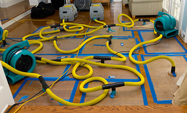 Professional Structural Drying And Dehumidification technician working in Sparta, IL